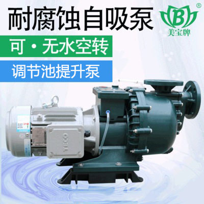 Mabel sewage treatment horizontal sewage pump large flow acid alkali wastewater lifting pump 3 75KW hydrochloric acid pump