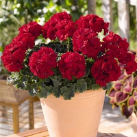 1. Основная модель изображения