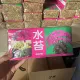 Phalaenopsis Special Water Moss 12L Pack