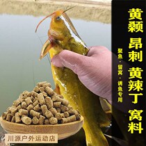 Angthorn Fish Nest Material Yellowbone Fish Nest Engyel Fish Yellow Spicy Dinggar Bait Material Wild Fishing For Fish Food Feed Wine Rice