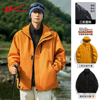 Подсолнух 【три в одном】