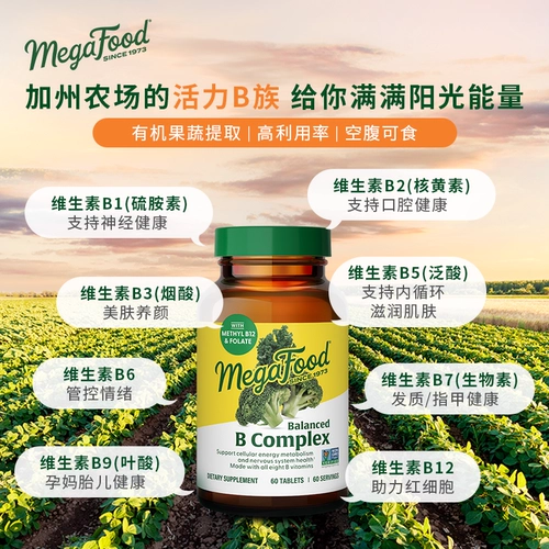 Комплекс витаминов группы B MegaFood импортирует активный витамин B для взрослых и мужчин в качестве дополнения к фолиевой кислоте b6/b2/b12.