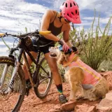 Американский RW Rafwell Liangliang wing nece Sect Summ