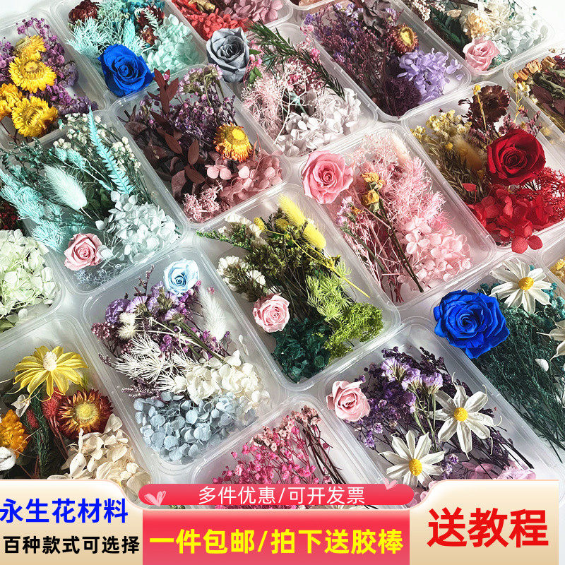 Immortal flower dry flower material package DIY photo frame sticker group fan floating group building activity flower art class Wuhan flower material package
