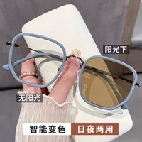 Фрукты серо -синий [светло -чувствительный цвет чая]