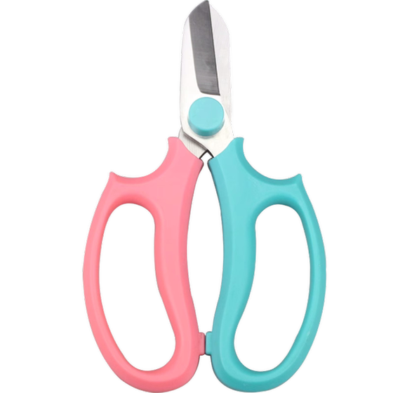 Sakawa Tana Branch Pruning Tool High -quality Steel Gardening Garden Flower Art Scissors Strong Grape Fruit and Vegetable Cut
