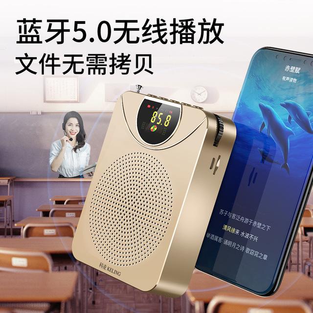 Small Bee Coring Teacher Wireless Megaphone Microphone With Bluetooth Teaching k2 Ear-Mai Class Lecture Special