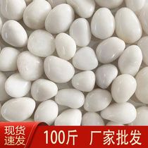 White pebbles fish tank bottom sand courtyard garden paving stone balcony decoration garden landscaping rain flower stone