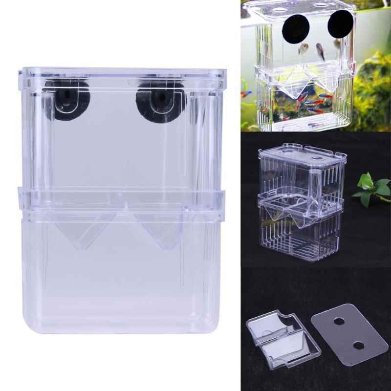 Large Acrylic Fish Breeding Box Aquarium Breeder Box Double-Taobao Vietnam