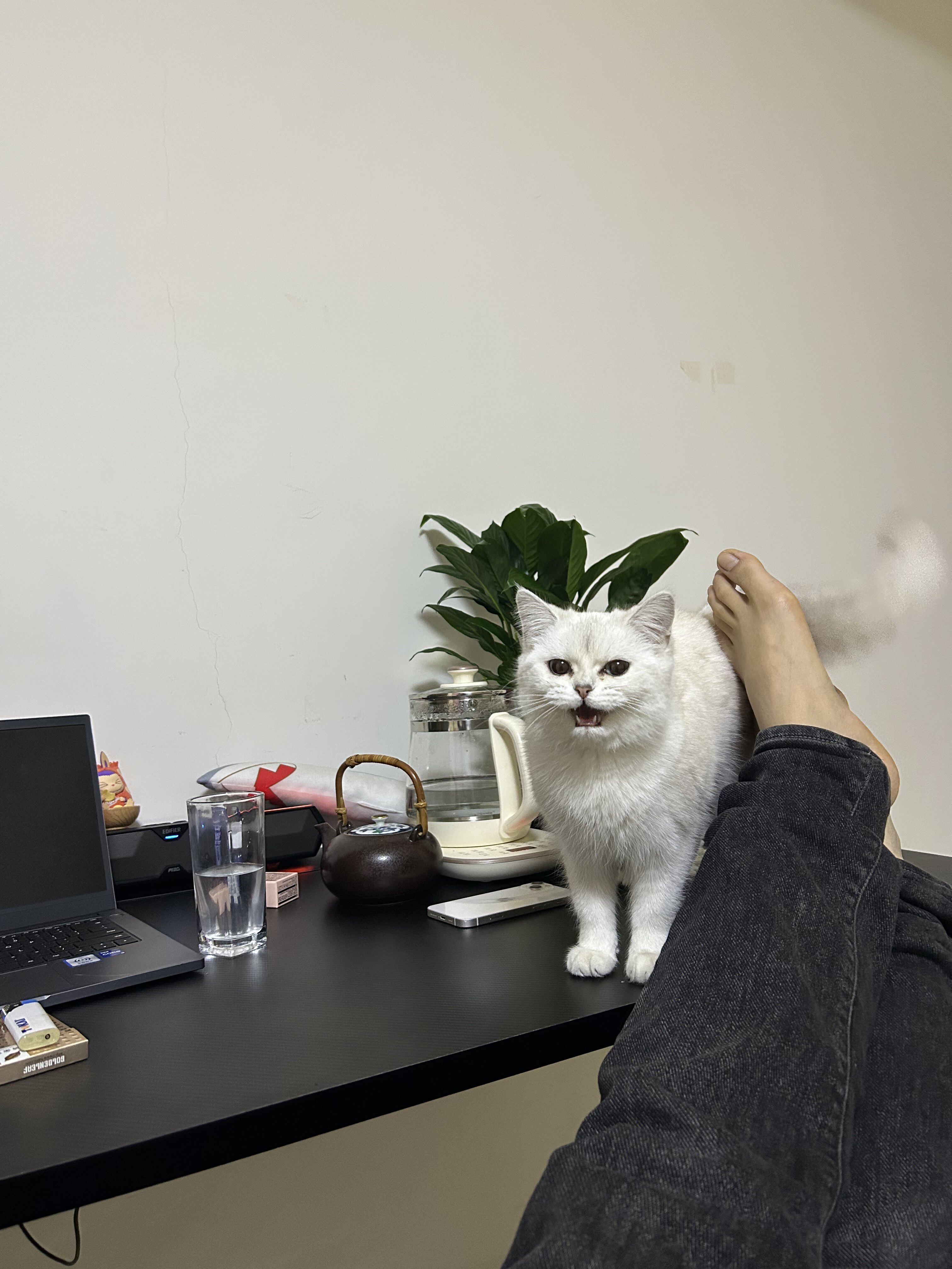 E5工作室主机天意爱吃火龙果
