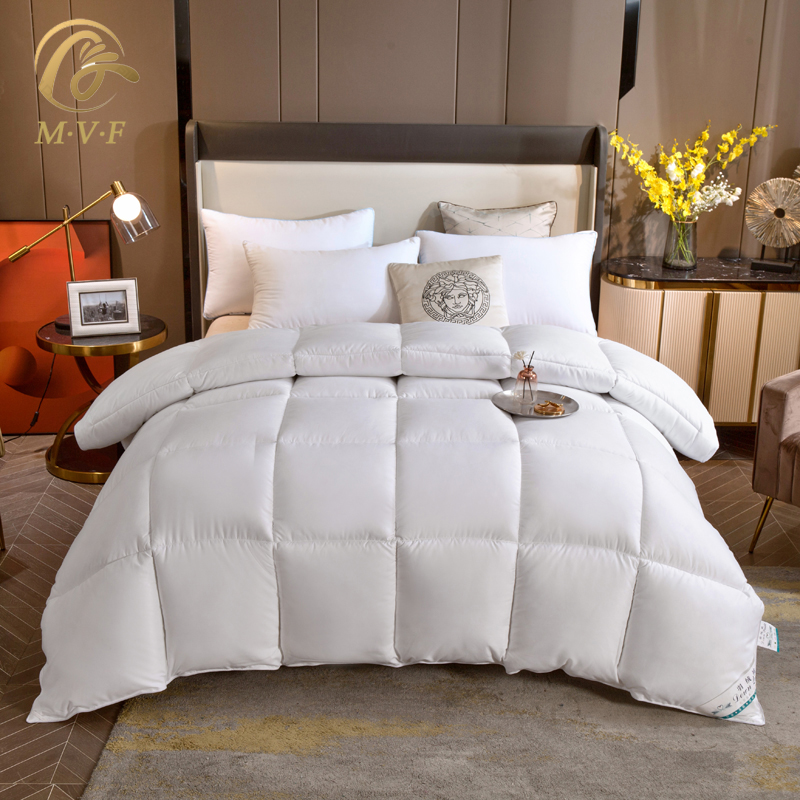Winter duvet five-star pure cotton 95 white goose down double cotton spring and autumn quilt thickened warm winter quilt core quilt