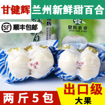 Lanzhou fresh lily edible super sweet lily big lily Gansu specialty non-dry two-headed emperor 2 pounds