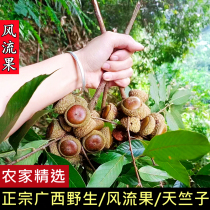Guangxi 500g deep mountain wild romantic fruit to supplement mens kidney fruit glans thick Linke Tianzhuzi falling vine fruit