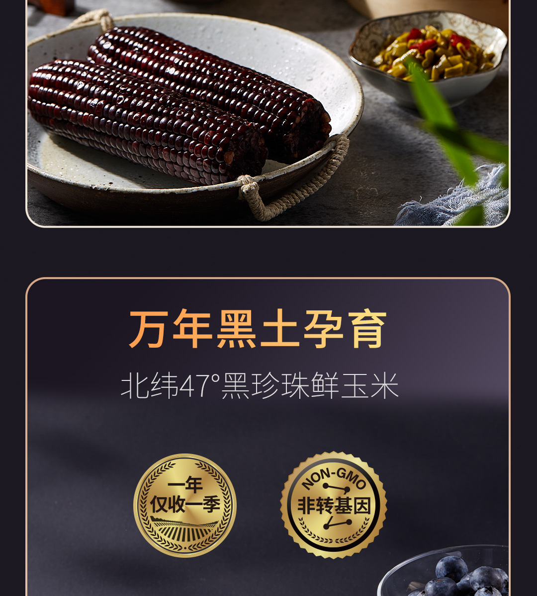 北纬47°东北黑珍珠糯玉米200g*6穗