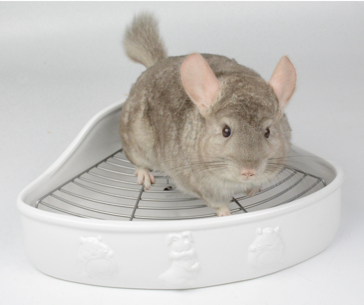 Anti Biting Dragon Cat Toilet Ceramic Squirrel Big Pee Basin Tingle Hedgehog Anti Hatchpan Dutch Pig Rabbit rabbit Deodorant Supplies