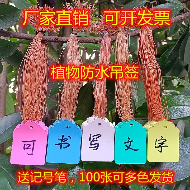 Horticultural Labels Chandelier Garden Flowers Waterproof Chandelier Fruit Tree Plant Marker Cards Multimeat Plastic Hanging Tag Signs 