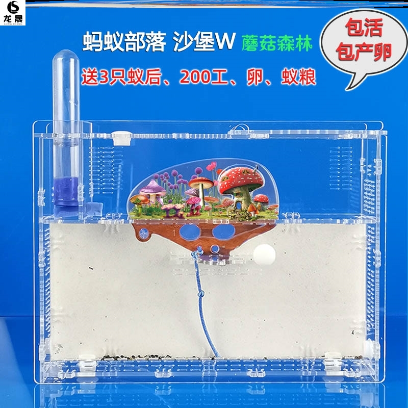 Factory box gel 6 children's saving cultivation of super large ant village ant castle ant cattle special breeding