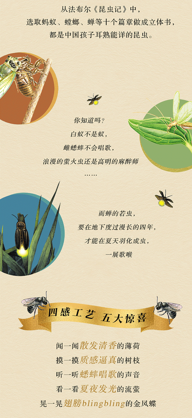 商品详情图