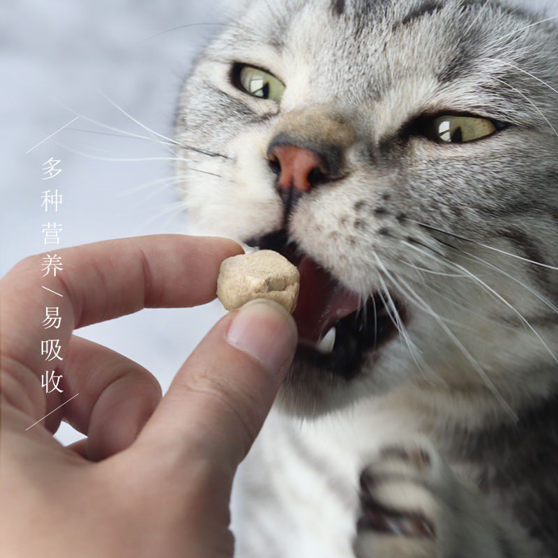 Cat beef liver freeze-dried snacks dog pet nutrition beef freeze-dried snacks kittens adult cat fattening snacks