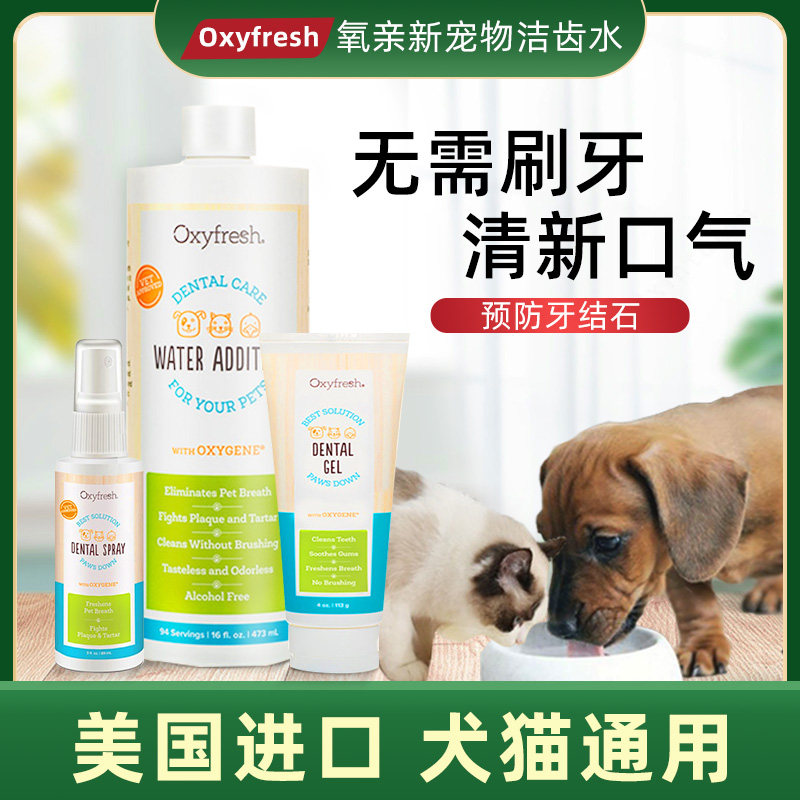 American oxyfresh tooth dog mouthwash cat from smelly to tooth stone teeth clean