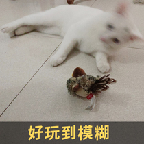 GiGwi is expensive for cat toys and emulates the small bird kitty self-hi relieving smoggy with a little mouse toy teasing a cat stick