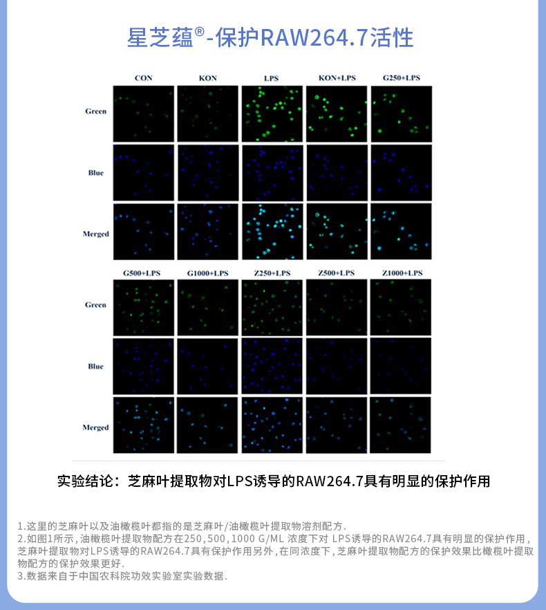 【中国直邮】 成分星球 橄芝多维舒缓控油凝露 油皮修护维稳清爽不粘腻 70g