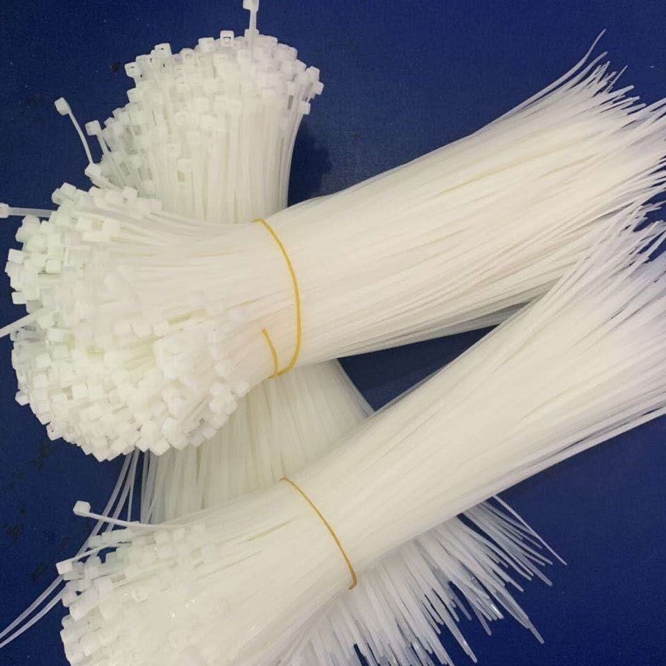 Self-locking nylon cable ties 3*100-8*500 plastic cable ties with wire ties black and white