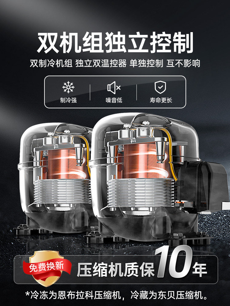 Ice-Cast Vertical Commercial Dual-Temperature Freezer for Frozen Products, Beef, Ice Cream, Durian, Low-Temperature Freezer