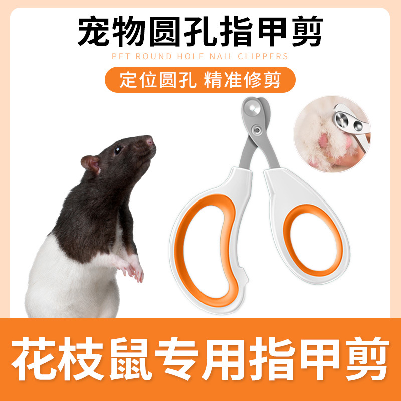 Specialized Nail Clipper Set for Hamsters, Nail Clippers, Nail Trimmers, Nail Files, Hamster Pet Supplies Specialized Nail Clipper Set for Hamsters, Nail Clippers, Nail Trimmers, Nail Files, Hamster Pet Supplies