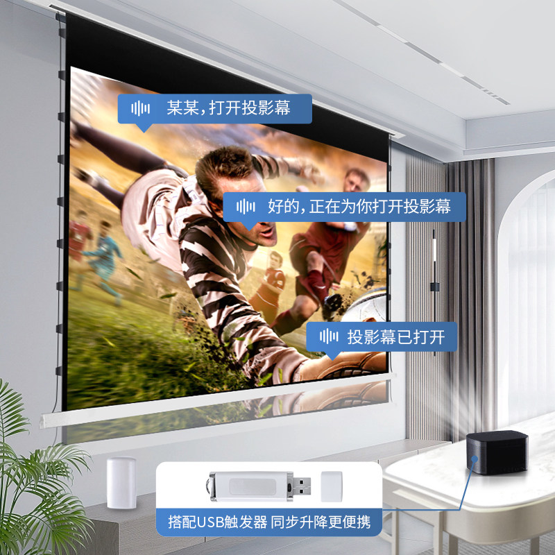 在家享受影院级体验?UPSCREEN电动隐藏式幕布,打造你的私人电影院!-幕布-淘宝好物网
