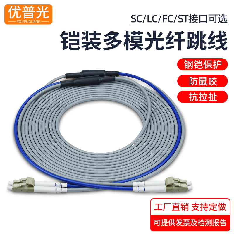 Armored Fiber Optic Patch Cord, Multi-Mode Dual-Core Pigtail, Lc-Lc to Sc-Fc-St, Indoor/Outdoor, Rodent-Proof, Tensile-Resistant, Gigabit/10G Om3 Optical Cable, 3m /5/10/20M, Telecom-Grade Internet Cafe Fiber Optic Cable Armored Fiber Optic Patch Cord, Multi-Mode Dual-Core Pigtail, Lc-Lc to Sc-Fc-St, Indoor/Outdoor, Rodent-Proof, Tensile-Resistant, Gigabit/10G Om3 Optical Cable, 3m /5/10/20M, Telecom-Grade Internet Cafe Fiber Optic Cable