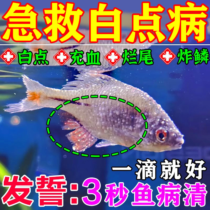鱼白点病药长白点净小瓜虫鱼药锦鲤金鱼白毛烂尾疾病专用万杀菌能