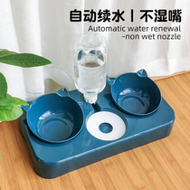 Cat Bowl Double Bowl protection cervical spine Automatic drinking cat food basin Anti-catty Cat Food Bowl pooch Kitty Supplies Bowl