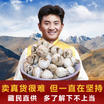 Nagqu Plateau Tibetan Fritillaria Tibetan Wild Fritillary 90g Furnace Fritillary Can Be Made into Loquat Cream Fritillary Powder Sulfur-free Smoked