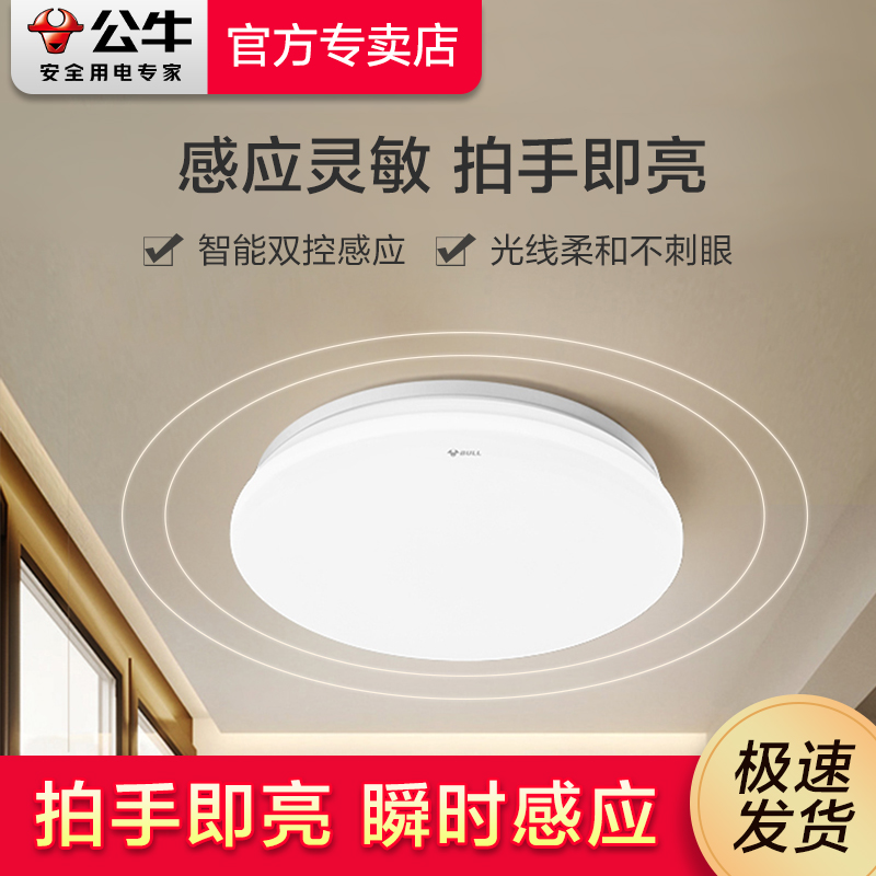 Bull induction ceiling lamp voice-controlled light-controlled balcony entry porch stairs aisle corridor household LED lamps