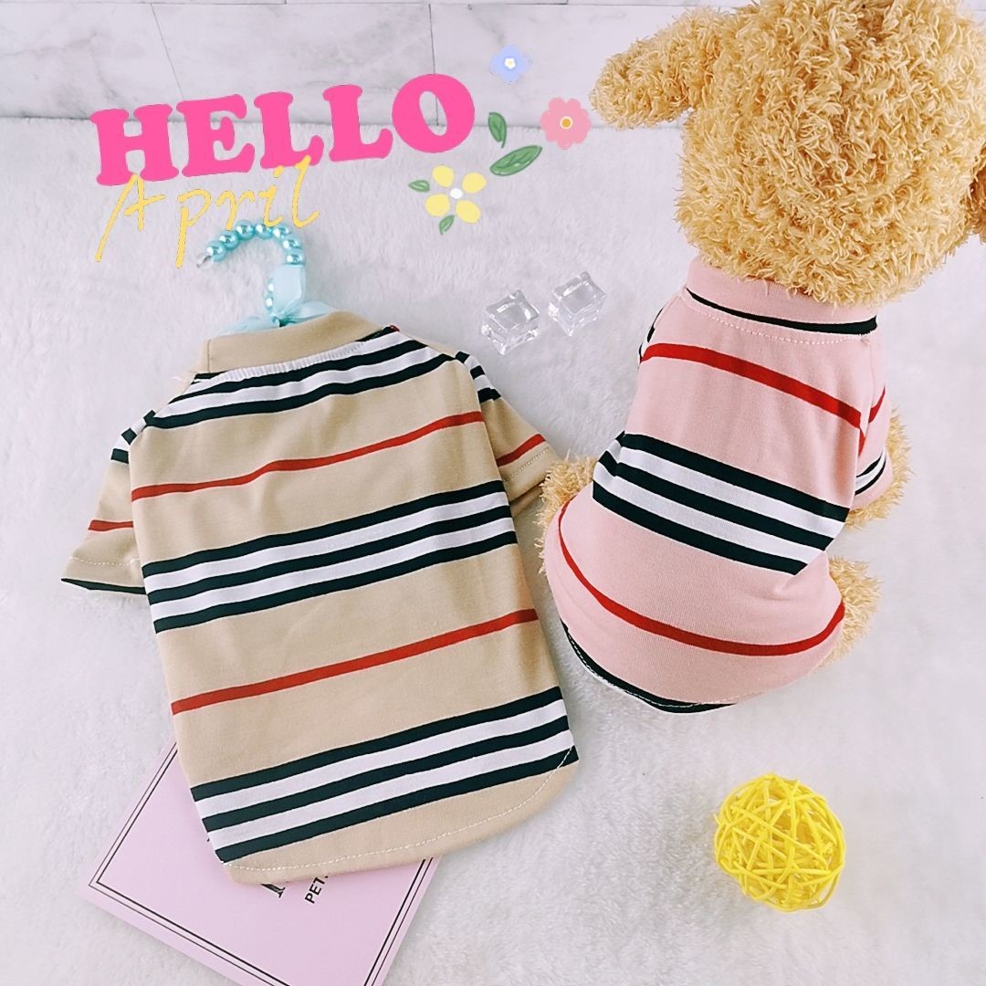 Autumn and winter dog clothes cat clothes plus velvet thick warm spring and summer clothes new cute teddy cat small dog