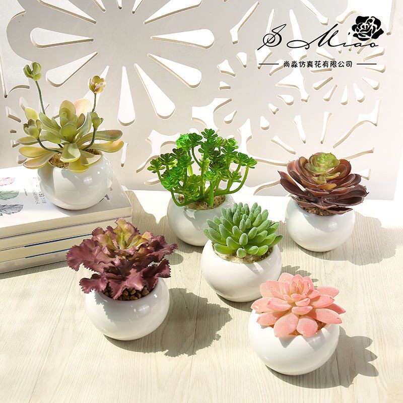 Fake Flower Emulation Multi-Meat Plant Potted Creative Living Room Desktop Green Plant Pendulum-piece Rack Decoration Decoration