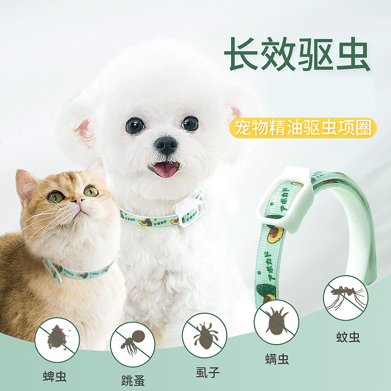 Kitty insect repellent collar deluds to anti-lice supplies in vitro dog collar neck laps small dogs except flea cat circle pets