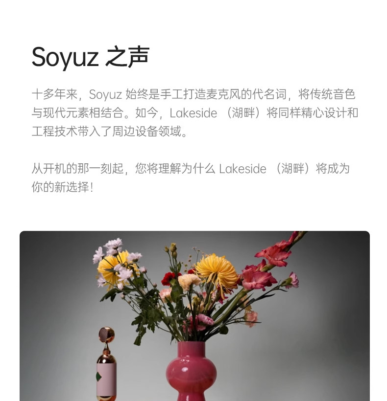 Soyuz 联盟 Lakeside 湖畔 单通道 A类话筒放大器 话放 国行