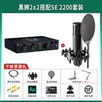 Black Lion 2 × 2+SE2200 набор