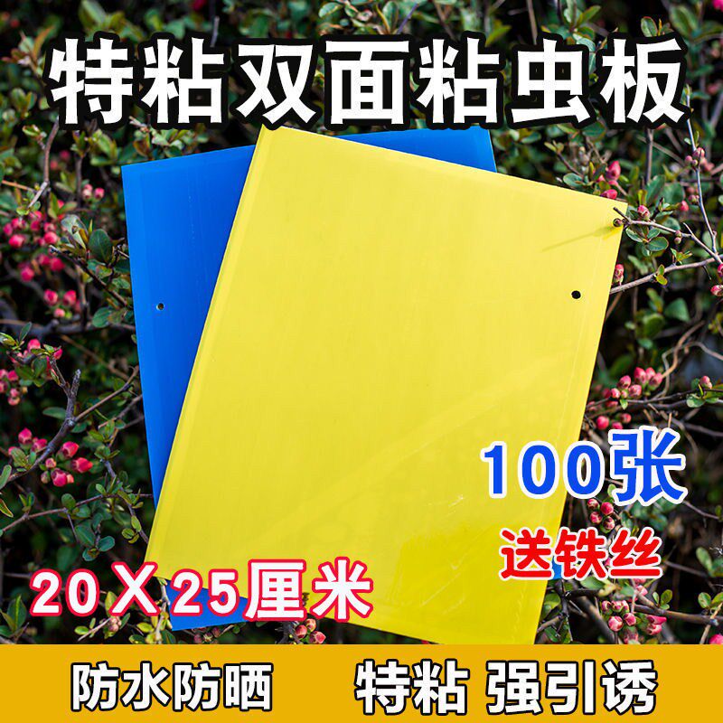 Double Sided Powerful Sticky Insect plate Bait Plate Yellow Plate Small Fly Worm Fruit Tree Fly Fruit Fly Orchard Needle Bee Sticky Fly with vegetables