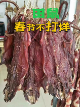 Dried field mouse a specialty of Guangning dried bamboo rat roasted yellow-skinned rat white-bellied rat dried rat with grass