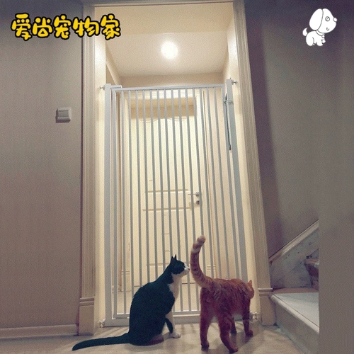 Дональд питомец, блокирующий питомец, кошачья собака собака, ярмарка сарай, ярмарка франшиза