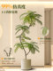 Blue Jacaranda Artificial Green Plant Large Potted Indoor Luxury Floor Decoration High-End Imitation Plant Fake Tree