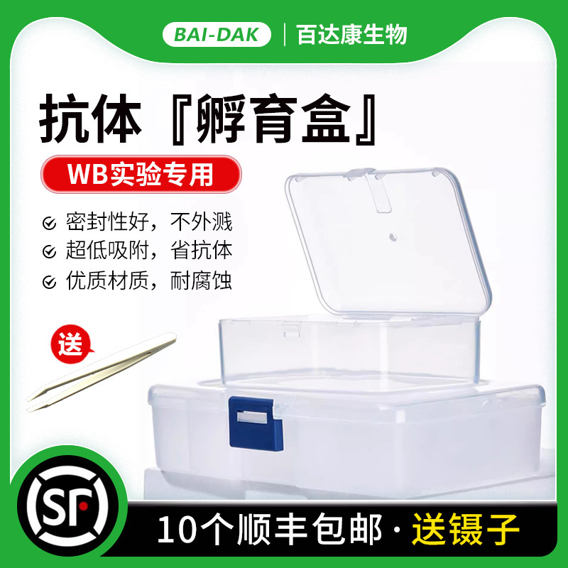抗体孵育盒western blot免疫组化湿盒 洗膜盒 封闭盒 印迹检测盒