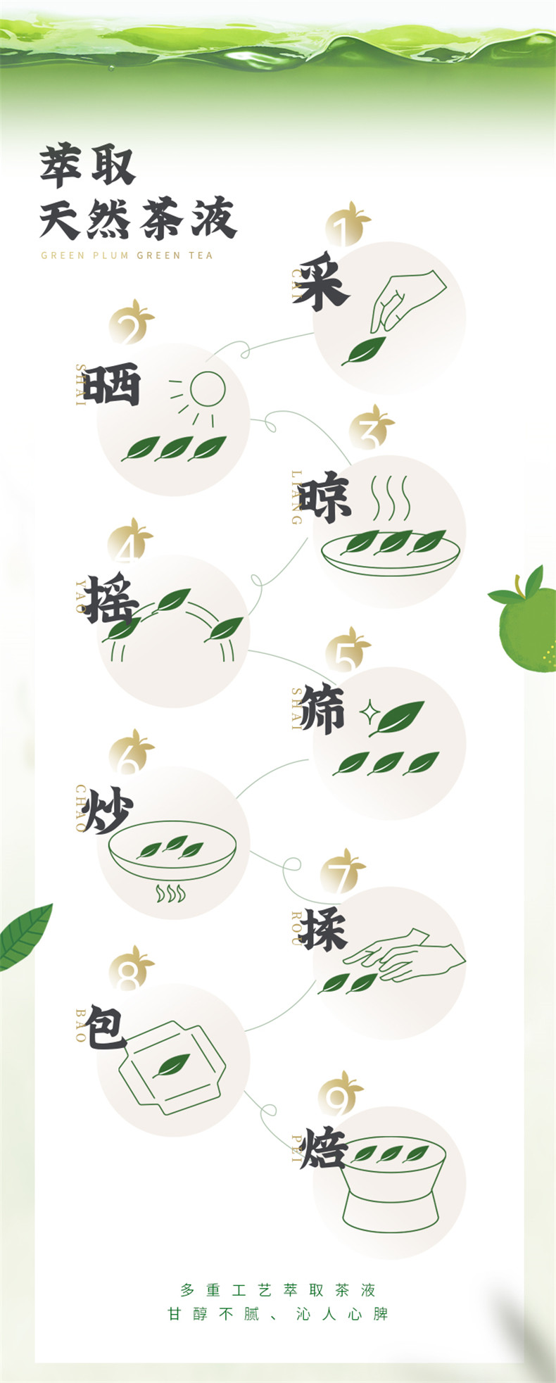 达利园 青梅绿茶 330ml*15瓶 图4