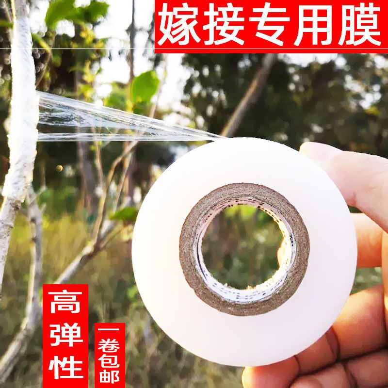 Professional PE grafting film fruit tree seedling special film wrapping film self-mucosal knot-free packaging transparent stretch film