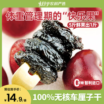 100% Chilean dried cherries 40g candied fruits seedless soft glutinous dried fruits office snack snack substitute