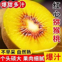 Sichuan red heart kiwi fruit fresh kiwi fruit 30 pieces seasonally picked 10 pieces authentic kiwi large fruit wholesale