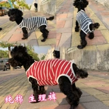 Физиологические штаны для любителей собаки Тедди менструальные брюки против харассии брюки с защитой от прятки